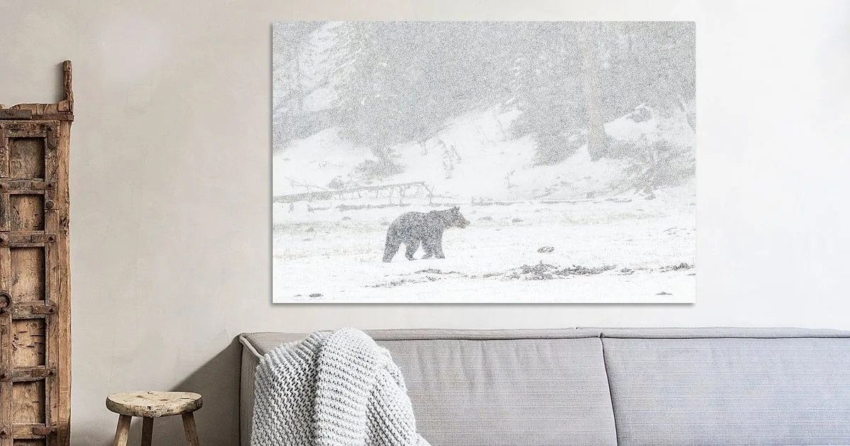 Grizzly bear in falling snow