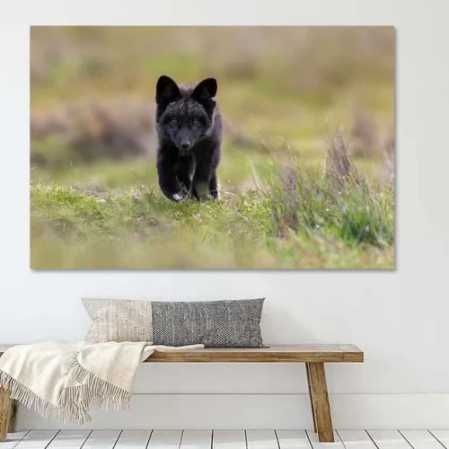 Buy this Fox pup in the grass Art print at our store.