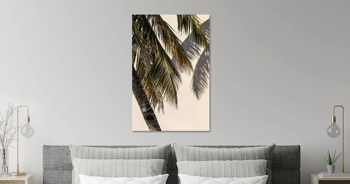 Palm tree Curaçao