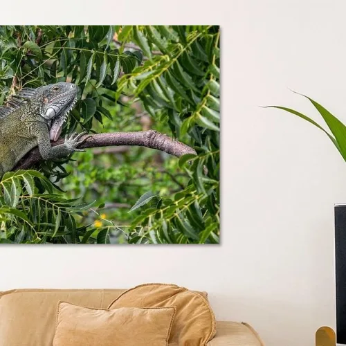 Buy this Green iguana in nature print