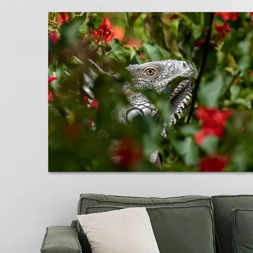 Buy this Iguana among the red flowers art print.