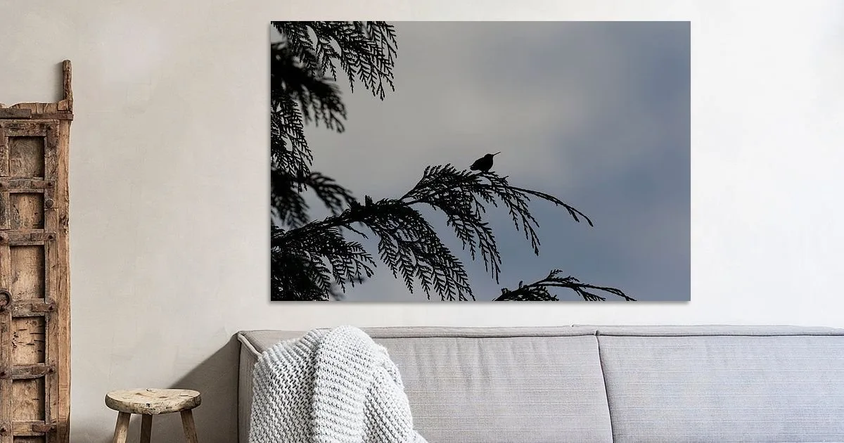 Buy this Silhouette hummingbird art print.
