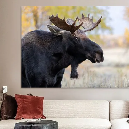 But this Portrait of a moose, in autumn colors Art Print.