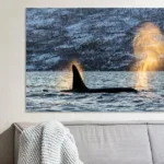 Buy this Orka in de spotlight Art print.